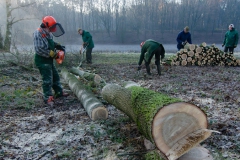 Onderhoud aan de Kanaaldijk nov 2019 Onderhoud aan de Kanaaldijk nov 2019