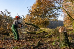 Onderhoud aan de Kanaaldijk nov 2019 Onderhoud aan de Kanaaldijk nov 2019