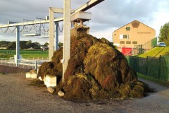 Excursie Spuisluis Crevecoeur juni 2018 Excursie Spuisluis Crevecoeur juni 2018