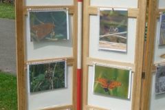 Voorjaarsfestival april 2018