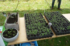 Voorjaarsfestival april 2018