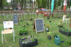 Voorjaarsfestival april 2018