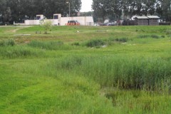 Excursie Spuisluis Crevecoeur - juni 2018