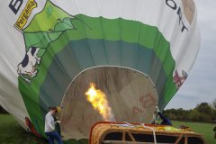 Zonnebloemwedstrijd - augustus 2018 Zonnebloemwedstrijd - augustus 2018