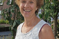 Zonnebloemwedstrijd - augustus 2018