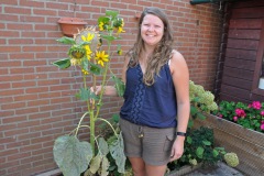 Zonnebloemwedstrijd - augustus 2018