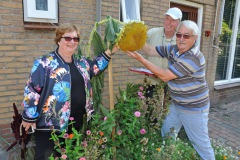 Zonnebloemwedstrijd - augustus 2018
