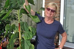 Zonnebloemwedstrijd - augustus 2018