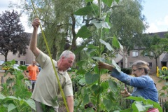 Zonnebloemwedstrijd - augustus 2018