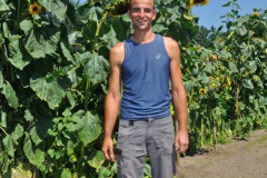 Zonnebloemwedstrijd - augustus 2018