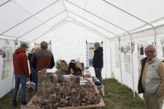 Voorjaarsfestival april 2019 Voorjaarsfestival april 2019