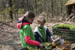 Voorjaarsfestival april 2019 Voorjaarsfestival april 2019