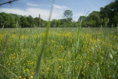 Excursie Hooibroeken 2011
