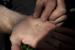 Excursie Hooibroeken 2011