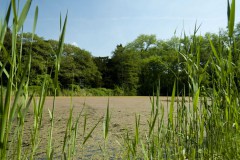 Excursie Hooibroeken 2011