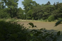 Excursie Hooibroeken 2011