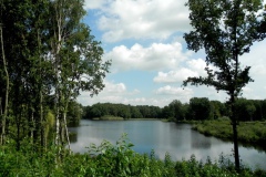 Het Nieuwkuijkse Wiel