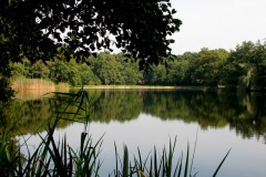 Nieuwkuijkse Wiel met zwembad Janus van Engelen