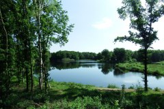 Het Nieuwkuijkse Wiel vanaf de Heidijk in juni