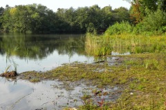 Nieuwkuijkse Bosje en Wiel