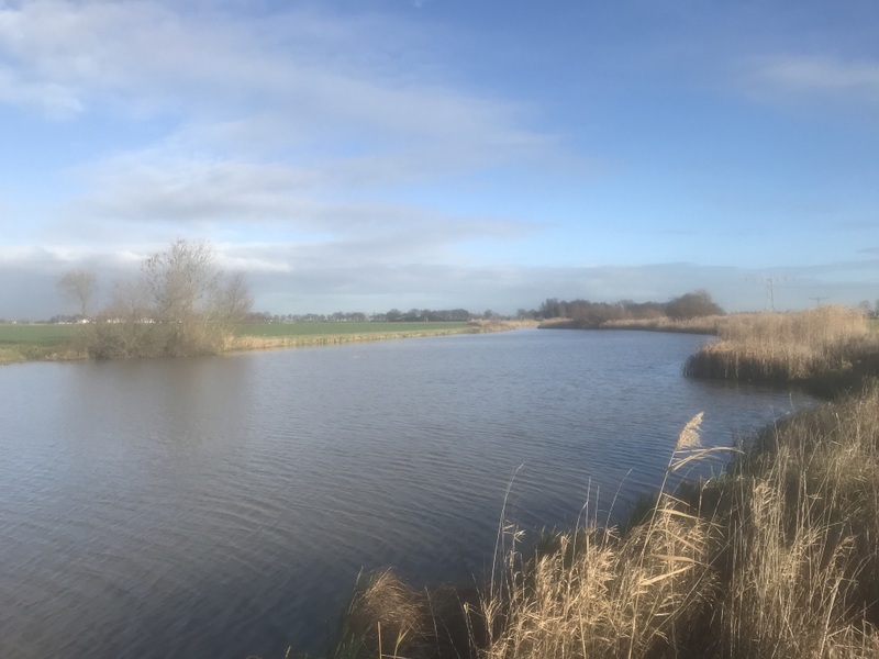 Oude Maasje tussen Haarsteegse Wiel en Vergereindseweg
