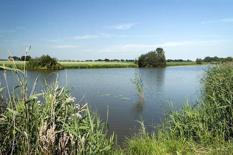 Oude Maasje bij hedikhuizen
