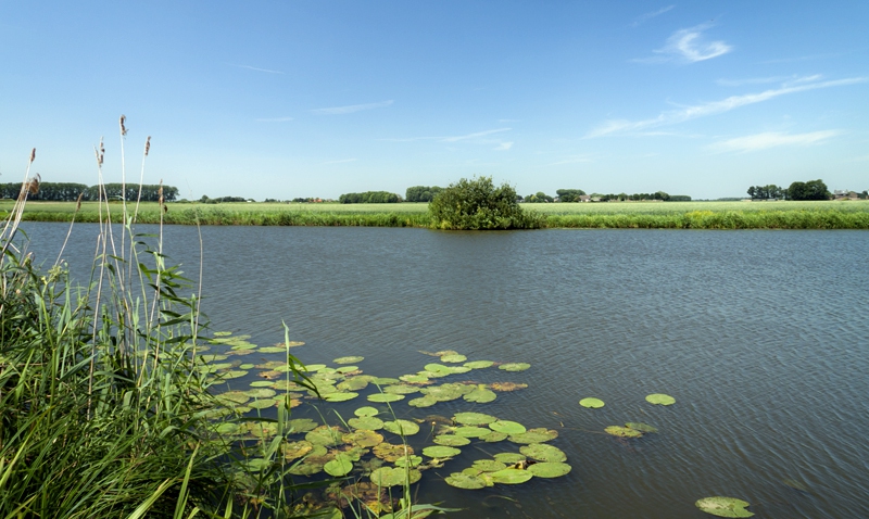 Oude Maasje richting Hedikhuizen