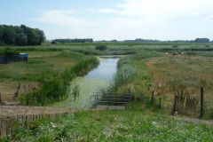 Oude Maasje
