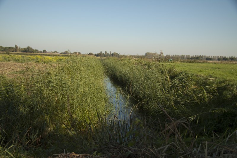 Wetering bij Oudheusden