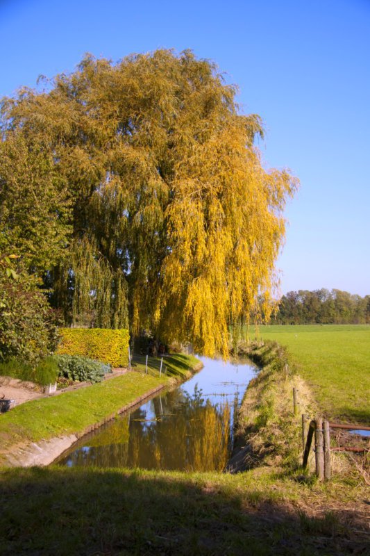 Oude Maasje richting Hedikhuizen