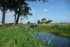 Oude Maasje ten oosten van Herpt