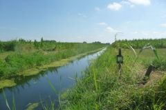 Oude Maasje ten oosten van Herpt