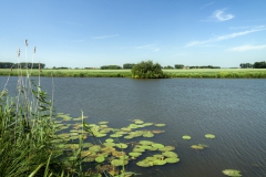 Oude Maasje richting Hedikhuizen