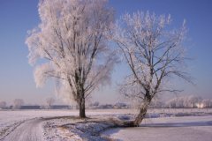 Winter aan het Oude Maasje