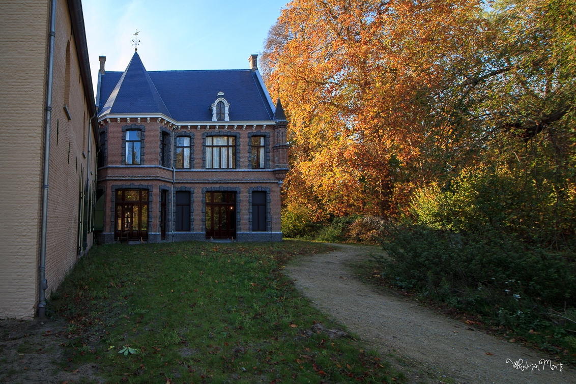 Achterzijde kasteel met grote beuk