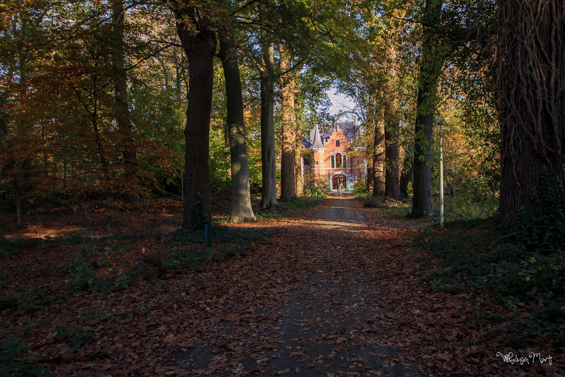 Kasteel Steenenburg gezien vanuit oostelijk laantje