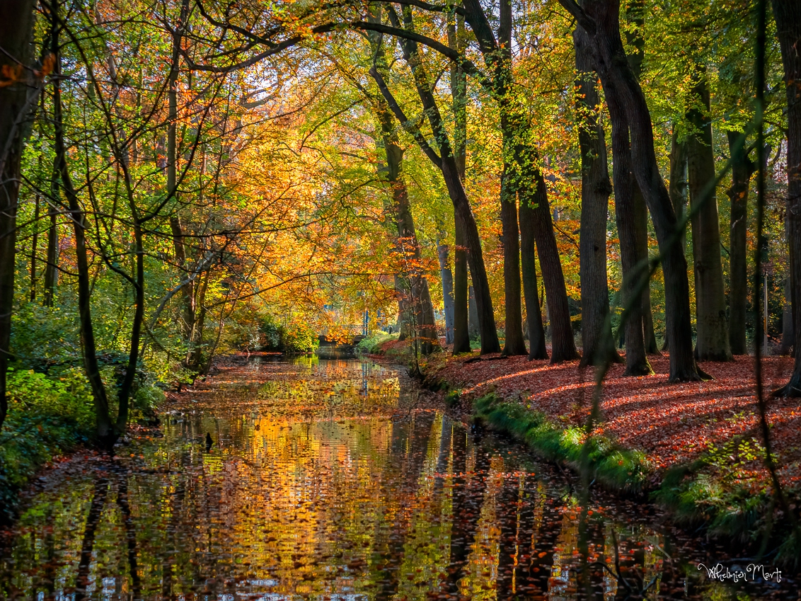 Slotgracht Steenburg in herfstkleuren