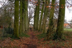 Bomenrijen rechts van de hoofdingang