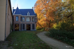 Achterzijde kasteel met grote beuk Achterzijde kasteel met grote beuk