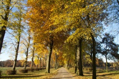 Kasteellaan Nieuwkuijk in herfsttooi