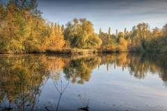 Grote vijver