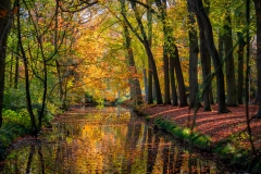 Slotgracht Steenburg in herfstkleuren