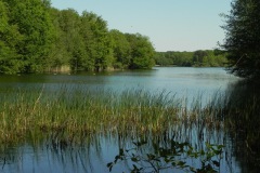 Zicht op de roeivijver