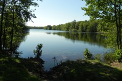 Zicht op de roeivijver