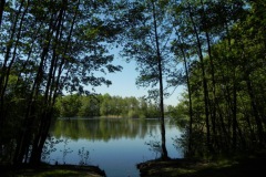 Zicht op de roeivijver