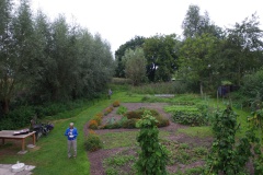 De Zwollemoer - vanuit de lucht