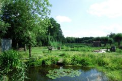 De Zwollemoer Drunen - poel