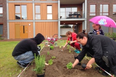 Duizendpoot Vlijmen - bewoners poten de eerste plantjes Duizendpoot Vlijmen - bewoners poten de eerste plantjes
