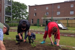 Duizendpoot Vlijmen - bewoners poten de eerste plantjes Duizendpoot Vlijmen - bewoners poten de eerste plantjes