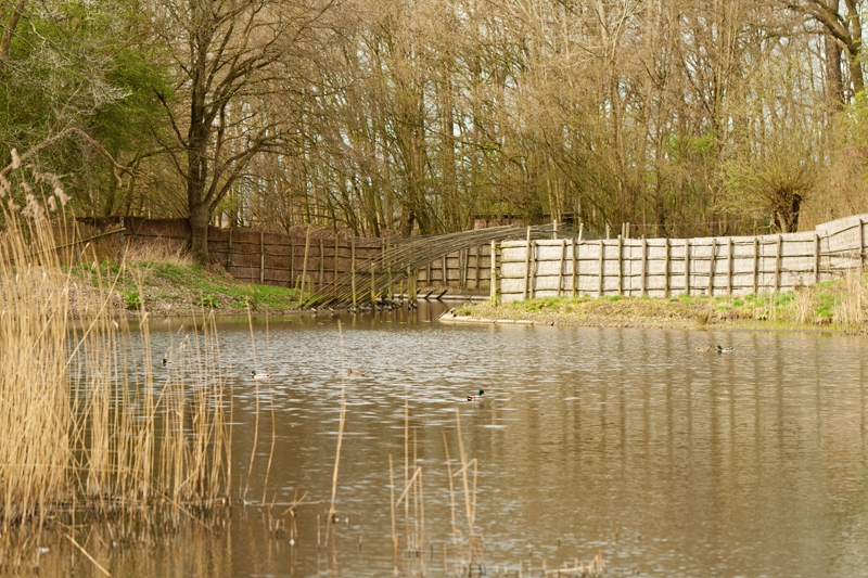 De wiel omgeven door rietschermen (Zooislagen)